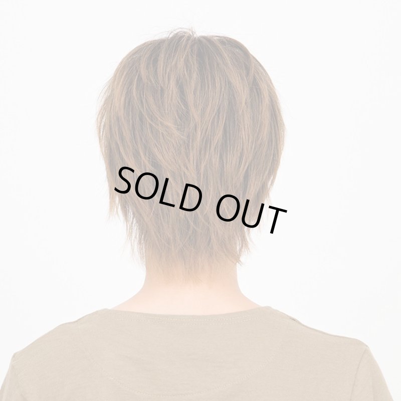 画像3: Lapin d'or Homme メンズウィッグ クラウドショート(ビターシナモンブレンド)(ラパンドアール/フルウィッグ/ヘアー/イメージチェンジ) (3)