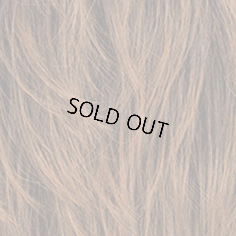 画像4: Lapin d'or Homme メンズウィッグ クラウドショート(ビターシナモンブレンド)(ラパンドアール/フルウィッグ/ヘアー/イメージチェンジ) (4)