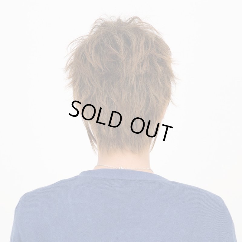 画像3: Lapin d'or Homme メンズウィッグ エッジスパイク(ミルキーブラウン)(ラパンドアール/フルウィッグ/髪/ヘアー/イメージチェンジ) (3)