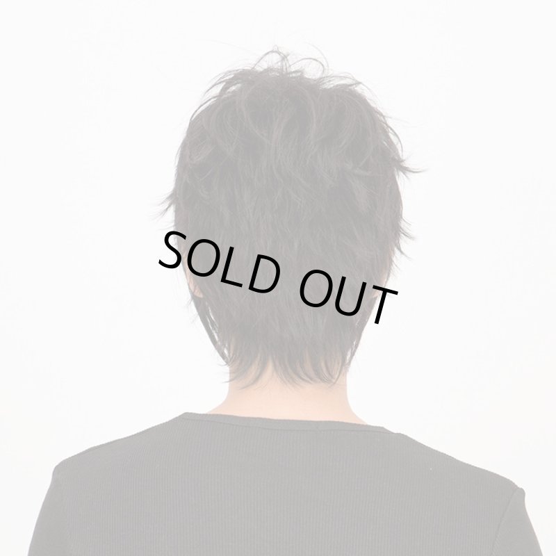 画像3: Lapin d'or Homme メンズウィッグ エッジスパイク(スタンダードブラック)（ラパンドアール/フルウィッグ/髪/ヘアー/イメージチェンジ） (3)