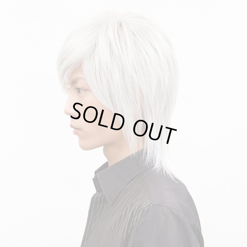 画像2: メンズウィッグ シェイドロングウルフ(パールシルバー) (2)