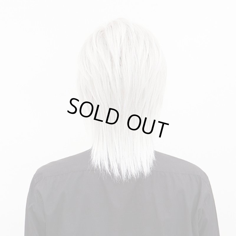 画像3: メンズウィッグ シェイドロングウルフ(パールシルバー) (3)