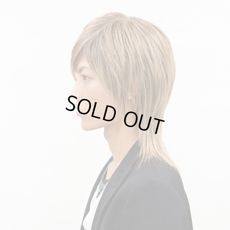 画像2: メンズウィッグ シェイドロングウルフ (2)