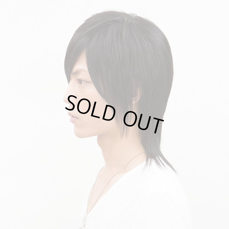 画像2: メンズウィッグ シェイドロングウルフ(スタンダードブラック) (2)