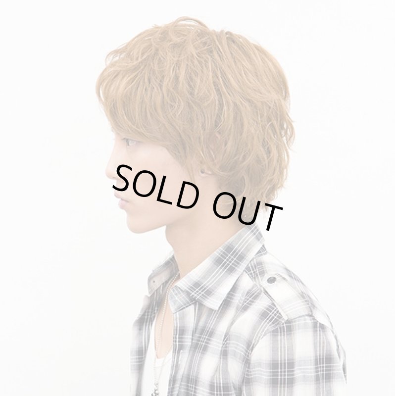 画像2: メンズウィッグ スマートマッシュ(ハニーブラウン)(ファッションウィッグ,ラパンドアールオム,男性用,カツラ,イメチェン) (2)