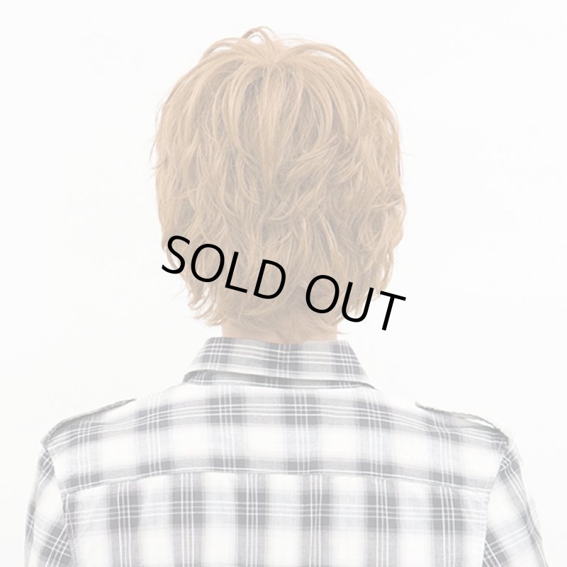 画像3: メンズウィッグ スマートマッシュ(ハニーブラウン)(ファッションウィッグ,ラパンドアールオム,男性用,カツラ,イメチェン) (3)