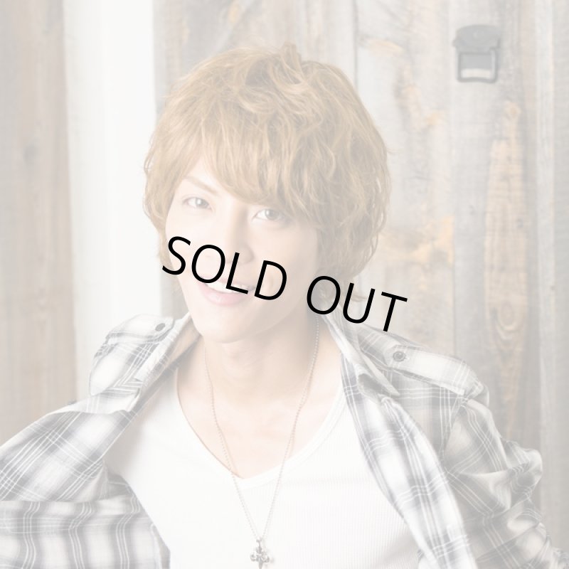 画像5: メンズウィッグ スマートマッシュ(ハニーブラウン)(ファッションウィッグ,ラパンドアールオム,男性用,カツラ,イメチェン) (5)