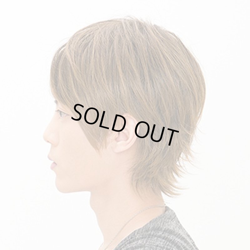 画像2: メンズウィッグ スプラッシュショート(ビターシナモンブレンド) (2)