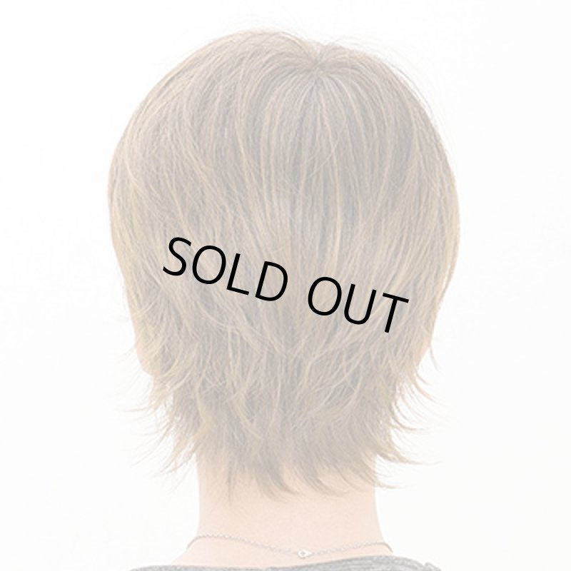 画像3: メンズウィッグ スプラッシュショート(ビターシナモンブレンド) (3)