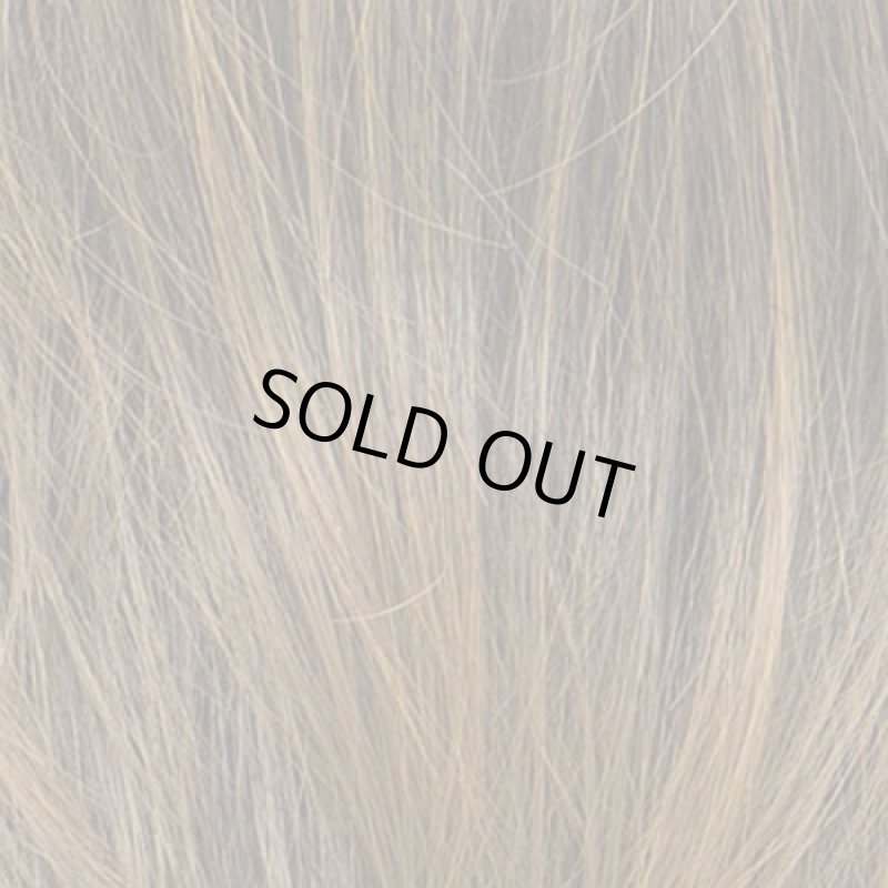 画像4: メンズウィッグ スプラッシュショート(ビターシナモンブレンド) (4)