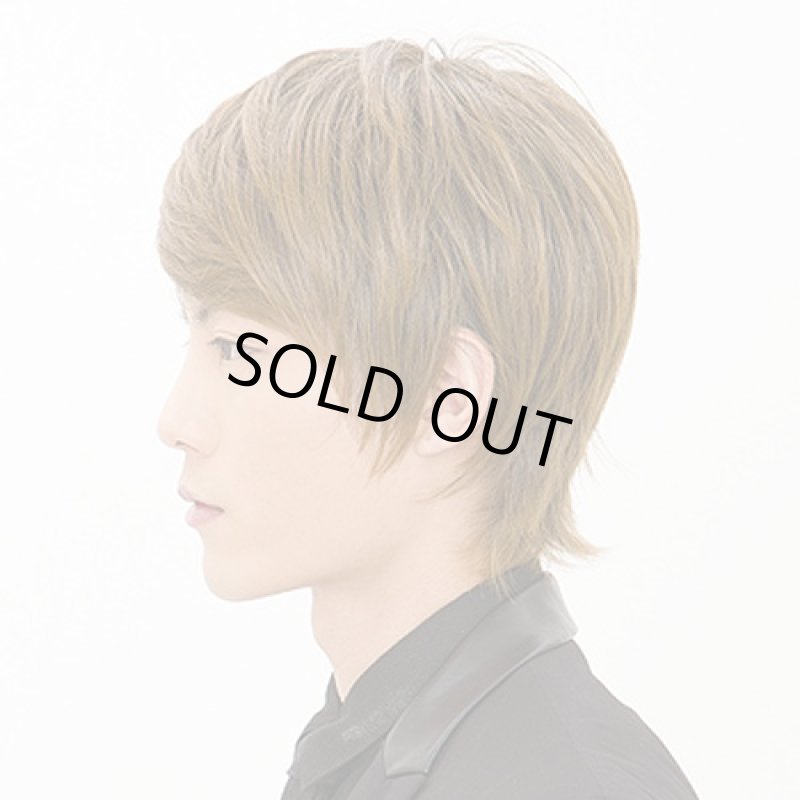 画像2: メンズウィッグ マイルドショート(ビターシナモンブレンド) (2)