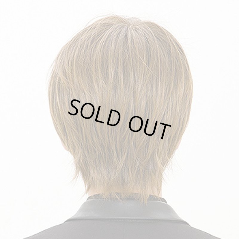 画像3: メンズウィッグ マイルドショート(ビターシナモンブレンド) (3)