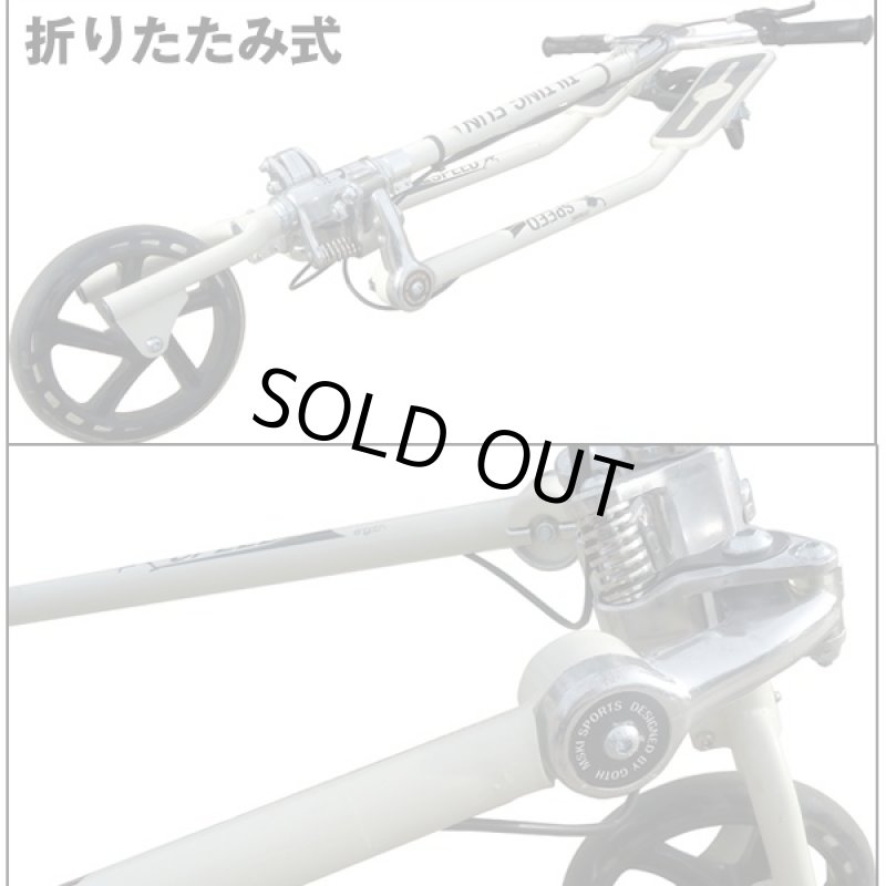 画像3: MSKI PRO「エムスキプロ」(メトロポリタンスキー,スキー・インラインスケート・キックボードを融合) (3)