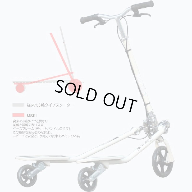 画像5: MSKI PRO「エムスキプロ」(メトロポリタンスキー,スキー・インラインスケート・キックボードを融合) (5)