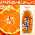 画像1: 浜松の蜜柑無添加果汁100%ジュース(12本入)(夏ギフト,ミカンジュースセット,,みかん果汁100%,,お中元,お歳暮贈り物,のしOK) (1)