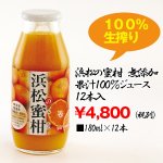 画像2: 浜松の蜜柑無添加果汁100%ジュース(12本入)(夏ギフト,ミカンジュースセット,,みかん果汁100%,,お中元,お歳暮贈り物,のしOK) (2)