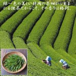 画像2: 遠州喜泉庵手折り茶そば6袋セット (夏ギフト,静岡県産抹茶入り茶蕎麦,父の日,ギフト,お取り寄せ,グルメ.お中元.のしOK) (2)