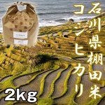 画像1: 石川棚田米コシヒカリ2kg (お米,,こしひかり,新米,お取り寄せブランド米,石川県能登半島,世界農業遺産認定米,受注後精米) (1)