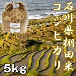 画像1: 石川棚田米コシヒカリ5kg (お米,,こしひかり,新米,お取り寄せブランド米,石川県能登半島,世界農業遺産認定米,受注後精米) (1)