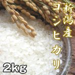 画像1: 新潟産コシヒカリ2kg (お米,こしひかり,新米,お取り寄せブランド米,人気日本一,米処,新潟県産,受注後精米) (1)