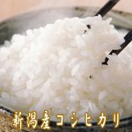 画像2: 新潟産コシヒカリ2kg (お米,こしひかり,新米,お取り寄せブランド米,人気日本一,米処,新潟県産,受注後精米) (2)