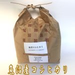 画像3: 魚沼産コシヒカリ2kg (お米,こしひかり,新米,お取り寄せブランド米,新潟県魚沼産,日本一の米,ギフト米,受注後精米) (3)