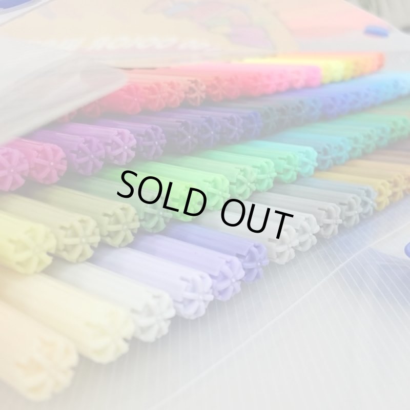 画像2: 100色カラーサインペンセット (マジックペン,水性サインペン,ケース入り,100カラー,持ち運べるバッグ型ケース付き) (2)