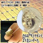 画像3: 送料無料シルバー925インゴットリング(INGOT,GOLD,ゴールド,K18コーティング,アクセサリー,ユリの紋章,馬蹄) (3)