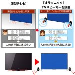 画像2: 送料無料TV用高音質スピーカー「オラソニック」TVスピーカー (薄型テレビ,国内メーカー,省エネ,10W+10W,卵型) (2)