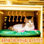 画像2: ペットが集まるホットなこたつ(送料込み)(ペット専用こたつ,猫グッズ,遠赤ヒーター付きサイドテーブル,組み立て式サイドテーブル,遠赤外線ヒーター,温度調節) (2)