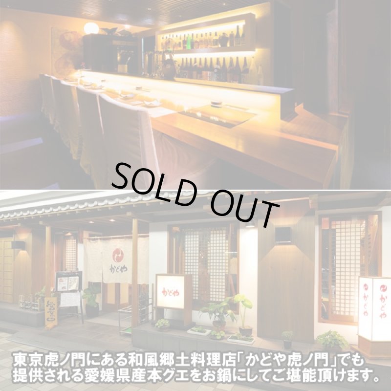 画像4: 国産本クエ鍋セット1kg (4)