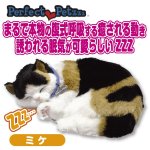 画像1: すやすや居眠りパーフェクトペット(猫/ネコ/犬/ワンコ/ぬいぐるみ/本物そっくり） (1)