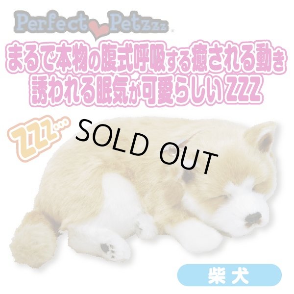 すやすや居眠りパーフェクトペット 猫 ネコ 犬 ワンコ ぬいぐるみ 本物そっくり Pif 01