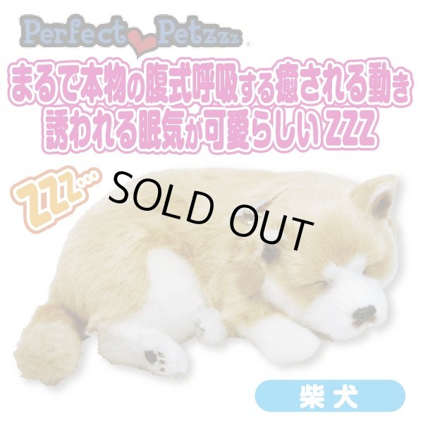 専用 パーフェクトペット 柴犬 Sサイズ（約22cm） ぬいぐるみ