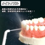 画像2: 送料無料リコーエレメックス デントレックス(DENTREX,歯,脈動ジェット水流,歯間,歯周ポケット,口臭予防,虫歯予防) (2)