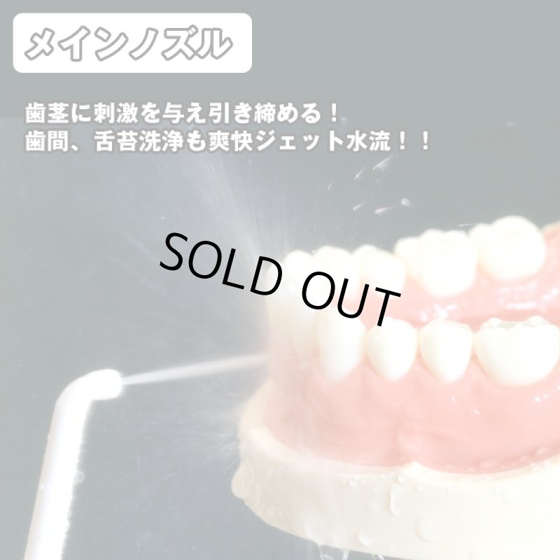 画像2: 送料無料リコーエレメックス デントレックス(DENTREX,歯,脈動ジェット水流,歯間,歯周ポケット,口臭予防,虫歯予防) (2)