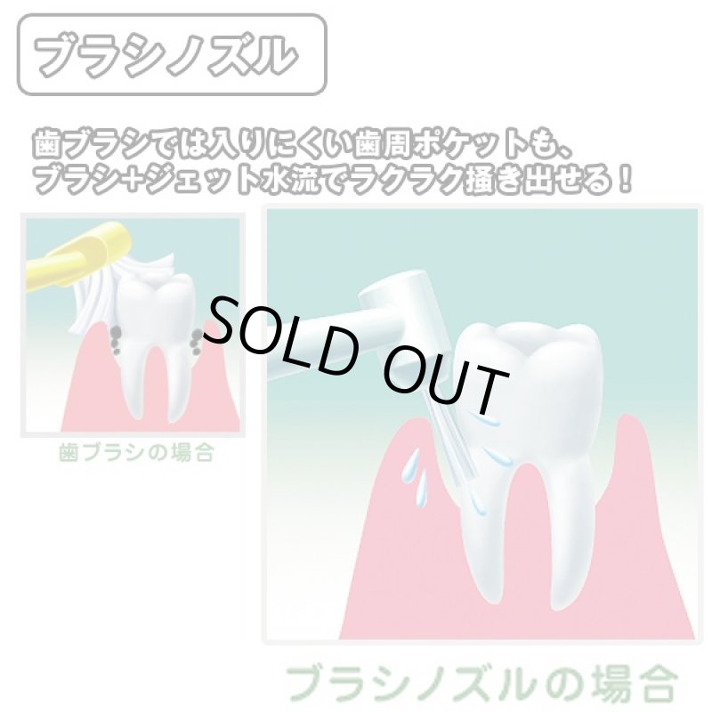 画像3: 送料無料リコーエレメックス デントレックス(DENTREX,歯,脈動ジェット水流,歯間,歯周ポケット,口臭予防,虫歯予防) (3)