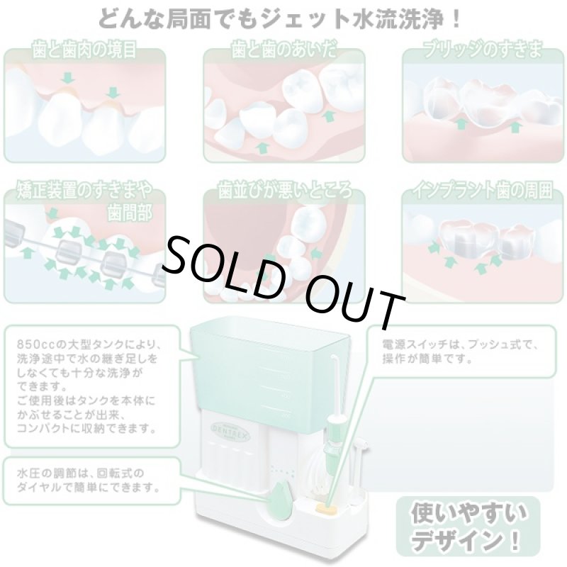 画像4: 送料無料リコーエレメックス デントレックス(DENTREX,歯,脈動ジェット水流,歯間,歯周ポケット,口臭予防,虫歯予防) (4)