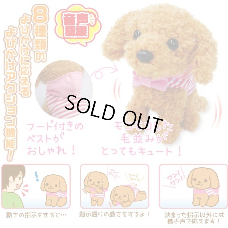 画像2: よびかけアクション愛犬モカちゃん (犬,ワンちゃん,リアルペット,動くぬいぐるみ,呼びかけ,可愛い,鳴き声,センサー) (2)
