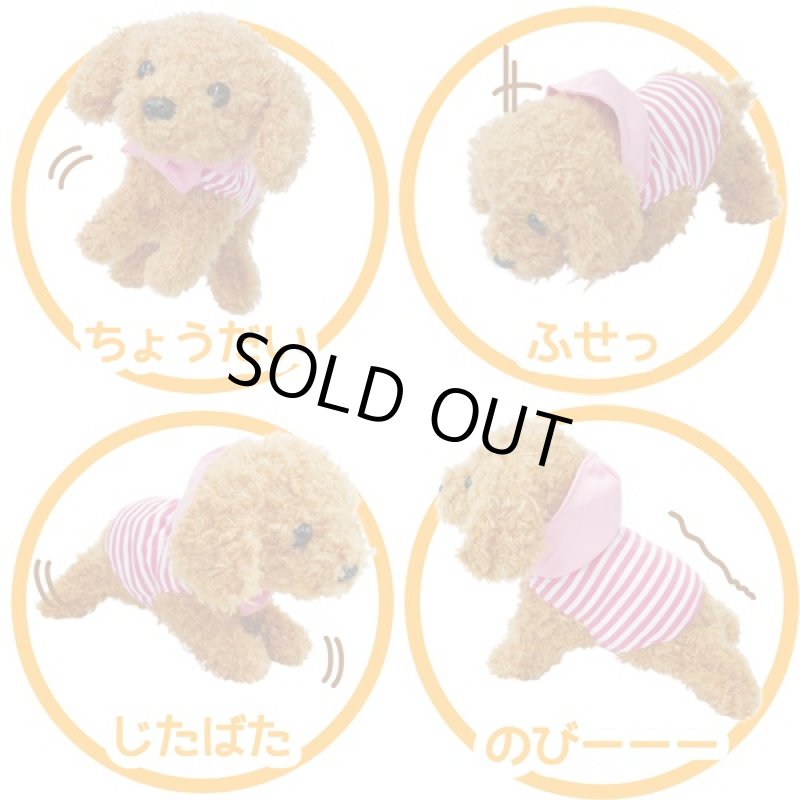 画像4: よびかけアクション愛犬モカちゃん (犬,ワンちゃん,リアルペット,動くぬいぐるみ,呼びかけ,可愛い,鳴き声,センサー) (4)