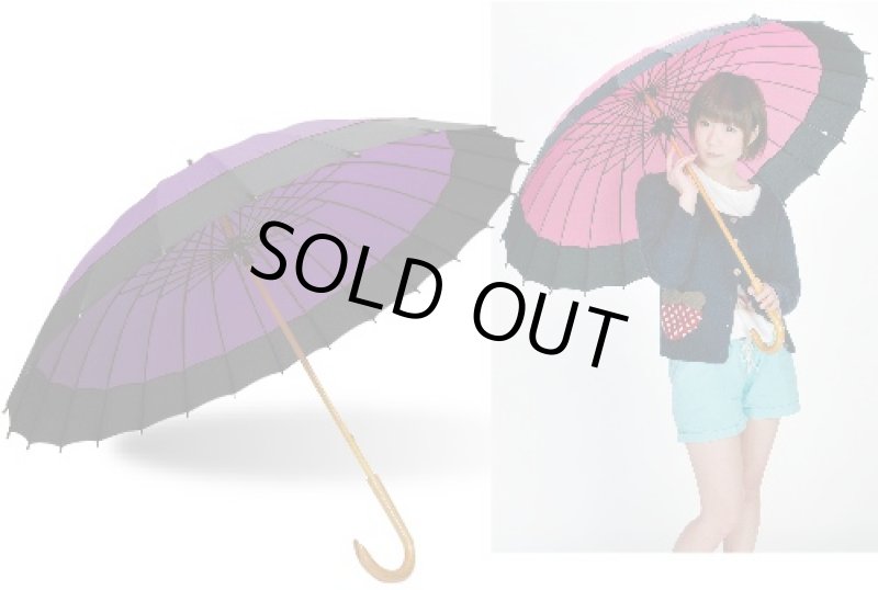 画像3: 24本骨和傘「蛇の目風色彩」 (3)