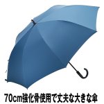 画像3: 超撥水雨傘クールマジック「富山サンダー」 (3)
