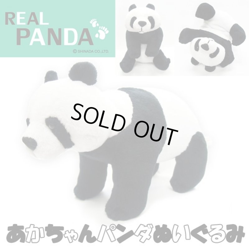 画像1: 赤ちゃんパンダぬいぐるみ  (1)
