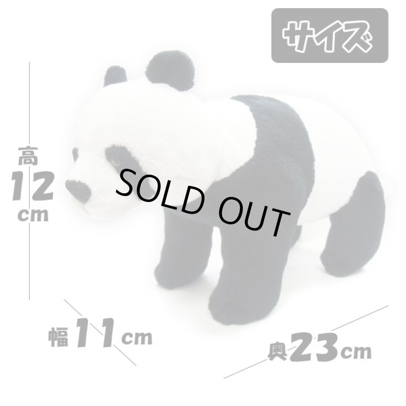 画像6: 赤ちゃんパンダぬいぐるみ  (6)