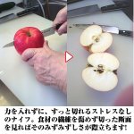 画像3: 伊勢屋治平ダマスカスペティナイフ(調理用包丁,家庭用包丁) (3)