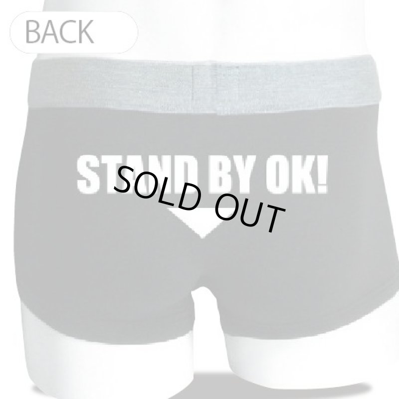 画像2: キャッチー・ボクサーパンツ【スタンバイOK!】 (2)