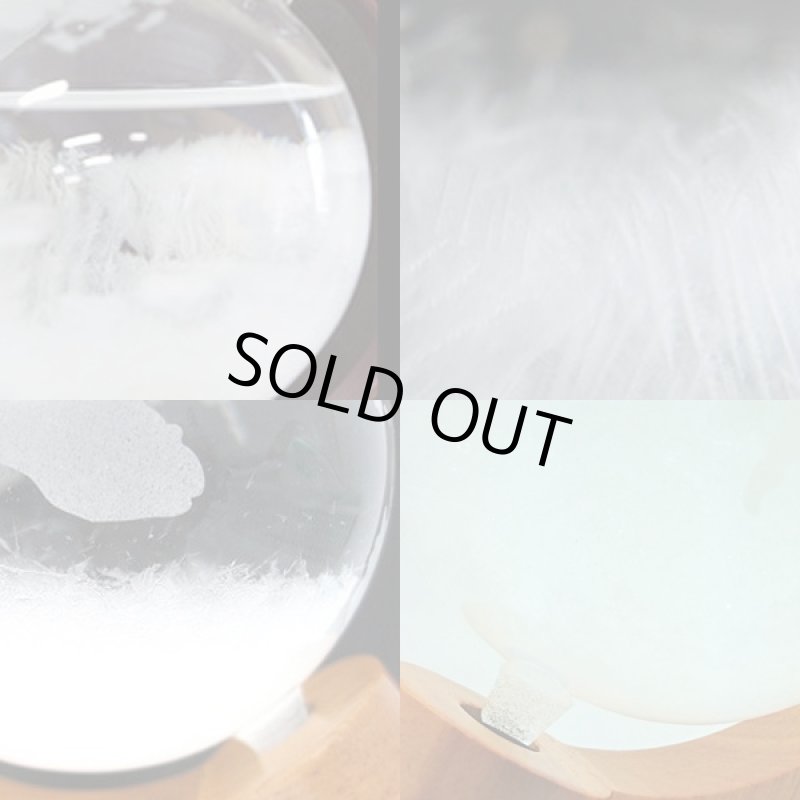 画像2: ストームグラス地球儀 (気象観測器,科学玩具,天気管,天気予報,白い結晶,オブジェ,ロバート・フィッツロイ,卓上,ガラス製) (2)