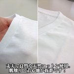 画像4: HANGTEN2枚パックTシャツ(ハンテン,メンズ,インナーウェア,男性下着,白無地Tシャツ,半袖,アンダーウェア,コットン,綿100%) (4)