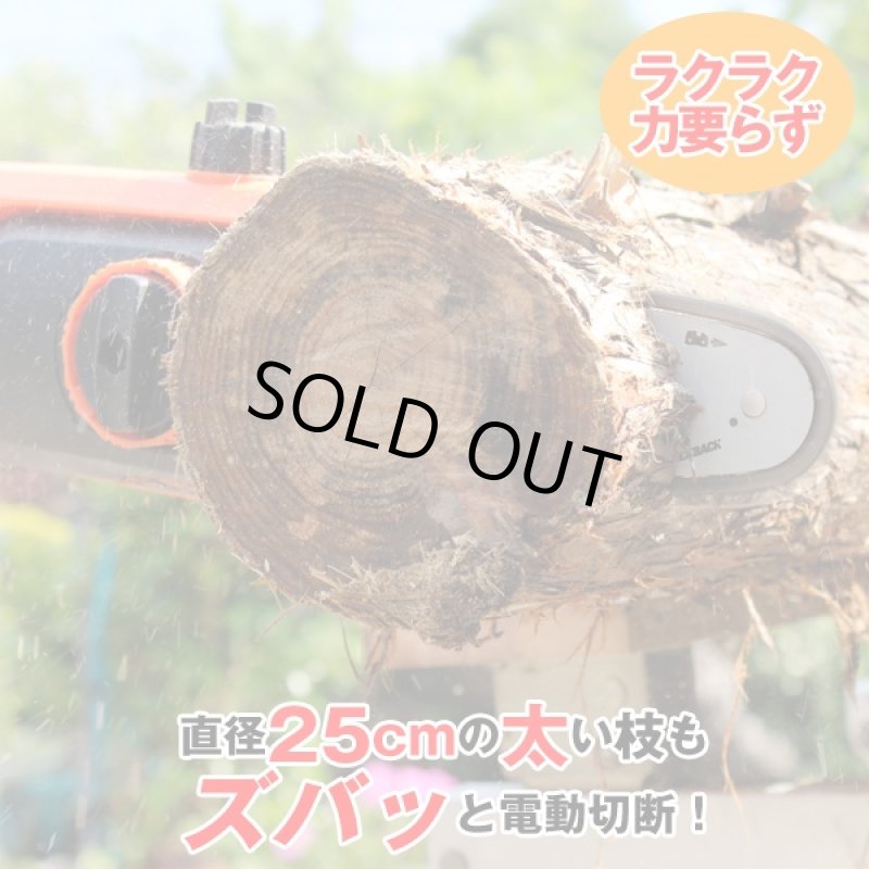 画像2: NEW電動ロングチェーンソー プラス (高枝切り,伸縮式,角度調整,太枝,切断,ハイパワー,ゴーグル,手袋,庭,園芸,庭師,工具) (2)