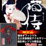 画像1: 猫侍オフィシャル「玉之丞首輪型アクセサリー撮影用レプリカ限定品」（白猫/ねこ/猫好きTV/ドラマ/映画/あなごちゃん/古銭/寛永通宝/北村一輝） (1)